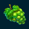 frozen-tropics-slot-grapes-symbol