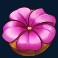 honey-rush-100-slot-flower-symbol