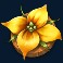 honey-rush-100-slot-yellow-flower-symbol