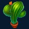 hot-chilli-fest-slot-cactus-symbol