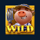 big-bad-wolf-pigs-of-steel-slot-blue-piggy-wild-symbol