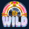 j-pop-slot-wild-box-symbol
