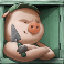 big-bad-wolf-slot-green-pig-symbol