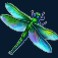 big-catch-bass-fishing-megaways-slot-dragonfly-symbol