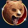 bison-moon-ultra-link-and-win-slot-bear-symbol