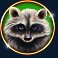 bison-moon-ultra-link-and-win-slot-racoon-symbol