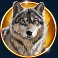 bison-moon-ultra-link-and-win-slot-wolf-symbol