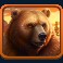 elk-hunter-slot-bear-symbol
