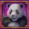 legacy-of-dynasties-slot-panda-symbol