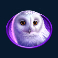 timber-stacks-slot-owl-symbol
