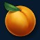 dam-beavers-slot-peach-symbol