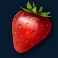 dam-beavers-slot-strawberry-symbol