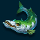 mega-don-feeding-frenzy-slot-barracuda-symbol