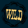 2-wild-2-die-slot-wild-symbol
