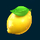 7-gold-fruits-slot-lemon-symbol