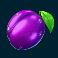 7-gold-fruits-slot-plum-symbol