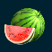 7-gold-fruits-slot-watermelon-symbol