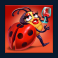 buggin-slot-ladybird-symbol
