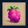 buggin-slot-raspberry-symbol