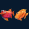 cowabunga-dream-drop-slot-red-or-orange-fish-symbol