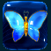 panda-money-slot-butterfly-symbol