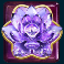 panda-money-slot-purple-flower-symbol