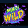 the-big-dawgs-slot-multi-wild-symbol