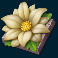 wild-swarm-2-slot-white-flower-symbol