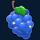 hearts-highway-slot-grapes-symbol