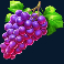 ripe-rewards-slot-grapes-symbol