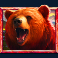 5-wild-buffalo-slot-bear-symbol