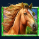 5-wild-buffalo-slot-horse-symbol