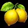 fruity-treats-leamon-symbol