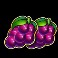 Cash-Strike-Hotstepper-slot-grapes-symbol