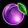 Fruit-Flash-slot-plum-symbol