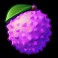 Fruit-Smash-slot-Rambutans-symbol