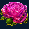 devilicious-slot-pink-rose-symbol