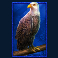buffalo-king-untamed-megaways-slot-eagle-symbol