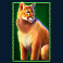 buffalo-king-untamed-megaways-slot-large-cat-symbol