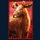 buffalo-king-untamed-megaways-slot-moose-symbol
