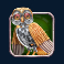 goblins-bargain-multimax-slot-owl-symbol