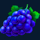 sweet-bonanza-1000-slot-grapes-symbol