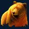 wild-survivor-slot-bear-symbol