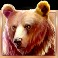 Buffalo-Collector-slot-Bear-symbol
