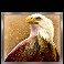 Buffalo-Collector-slot-Eagle-symbol