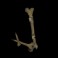 Beheaded-slot-J-symbol