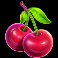money-stacks-slot-cherries-symbol