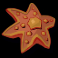 razor-ways-slot-orange-sea-plant-symbol