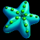 sunny-stacks-slot-starfish-symbol