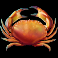 turtle-paradise-crab-symbol